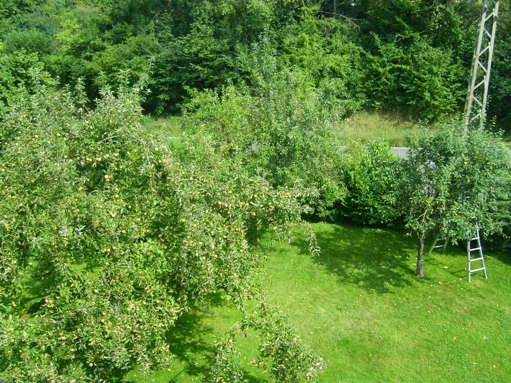 Ferienwohnung Leichlingen Quarto foto